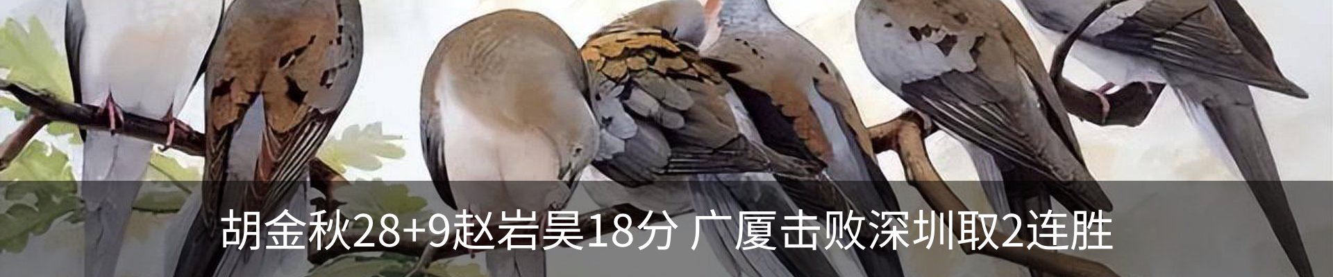 内页banner